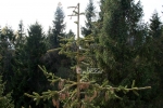 2017_10_18 Bechledova dolina 039