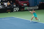2018_02_11 Tenis Fed Cup SR - RU 044