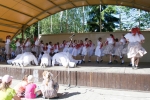 2017_06_01 MDD s ARTISom a Kolískou 304