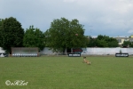 2017_06_10 TáčkoCup 227