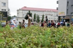 2018_08_11 Ilešháziovské panské hody 020