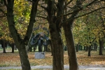 2018_10_16 Tak som sa prešiel po Dubnici 058