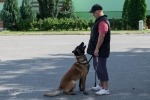 2018_08_18 Sidliskové hry za traťou 085