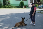 2018_08_18 Sidliskové hry za traťou 087